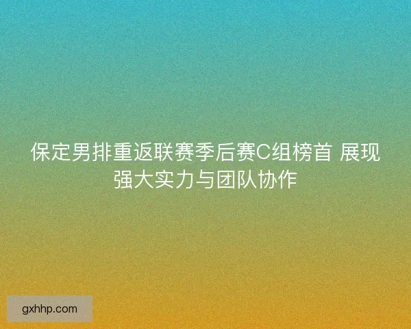 保定男排重返联赛季后赛C组榜首 展现强大实力与团队协作